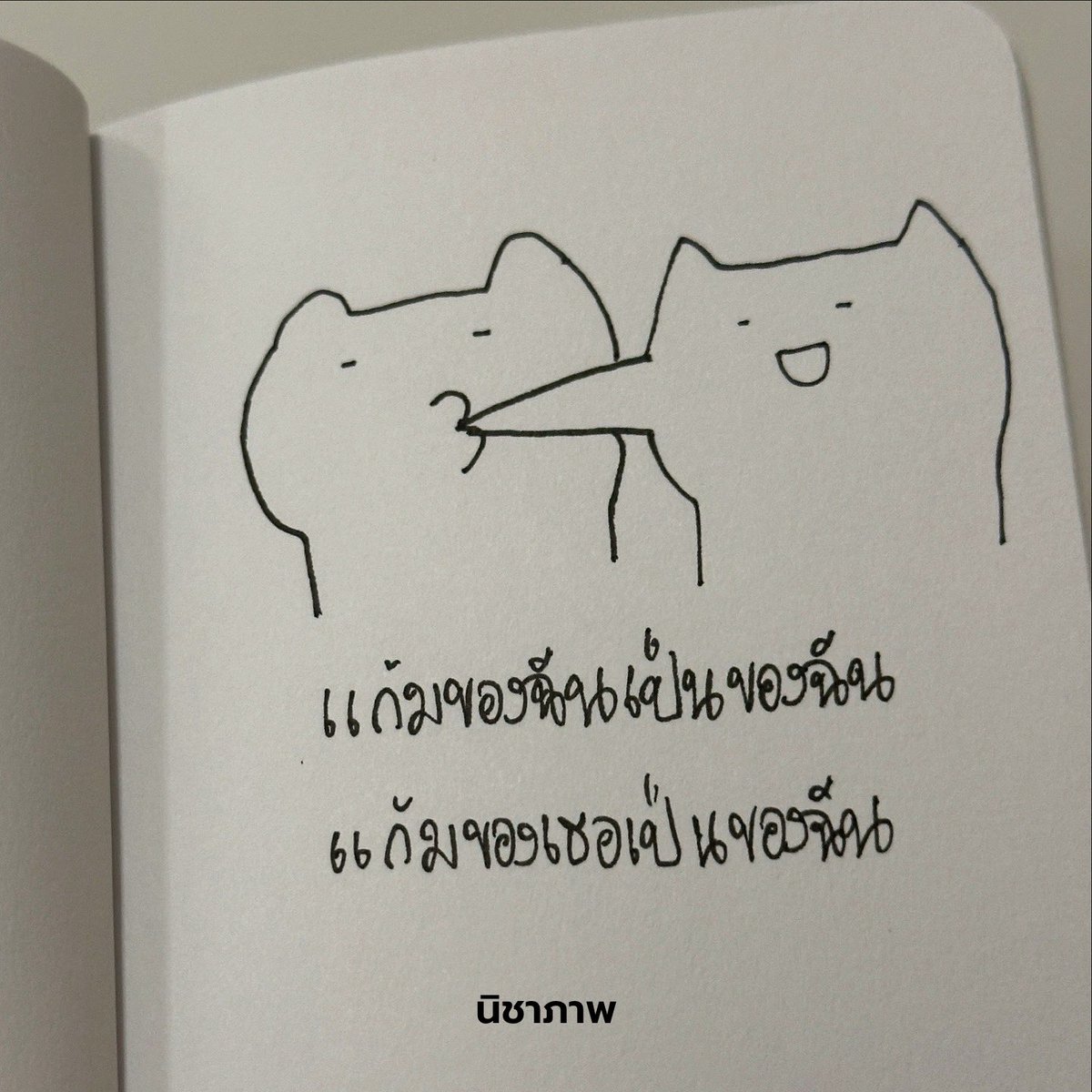 นิชาภาพ tweet media