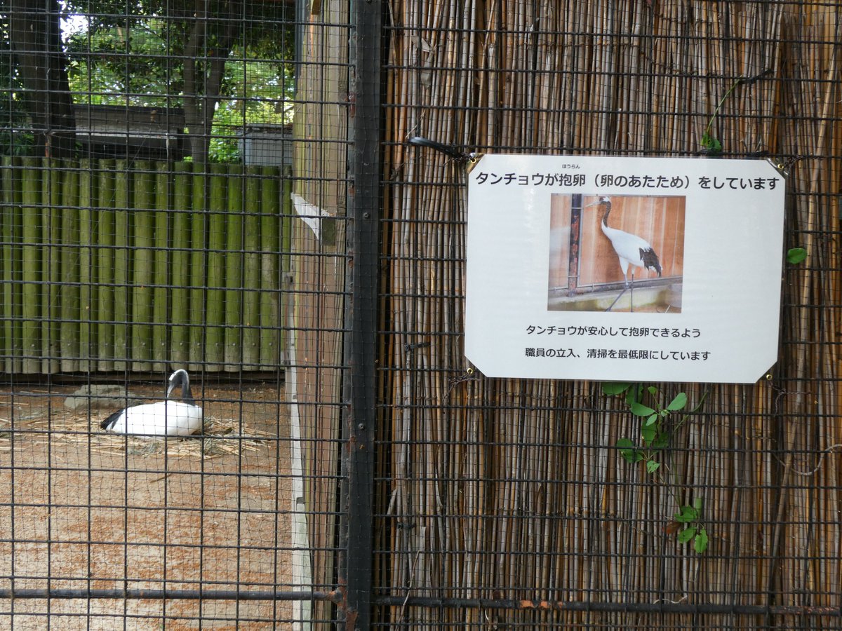 さこθ tweet media