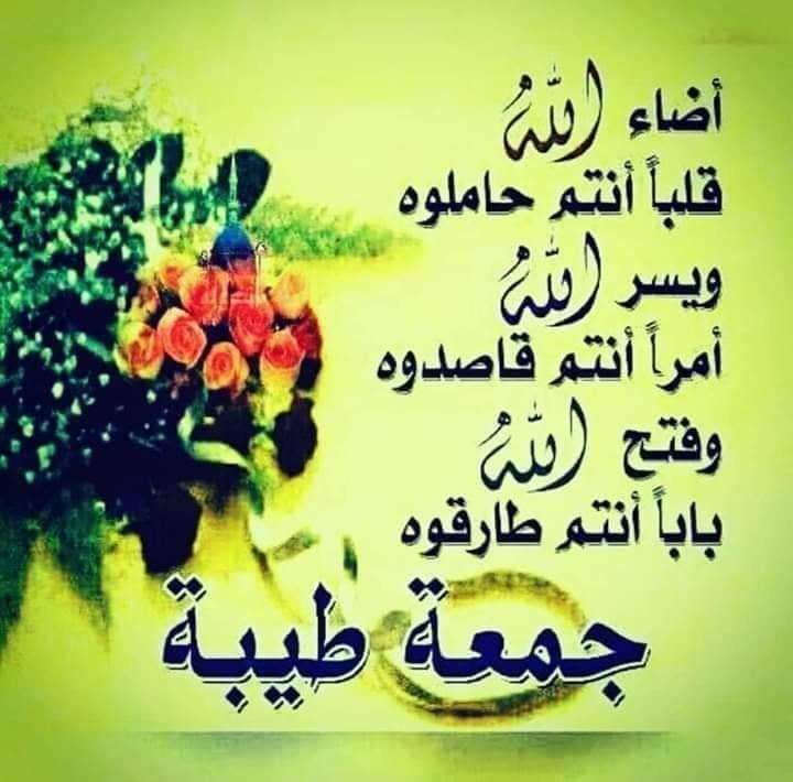 دودو tweet media