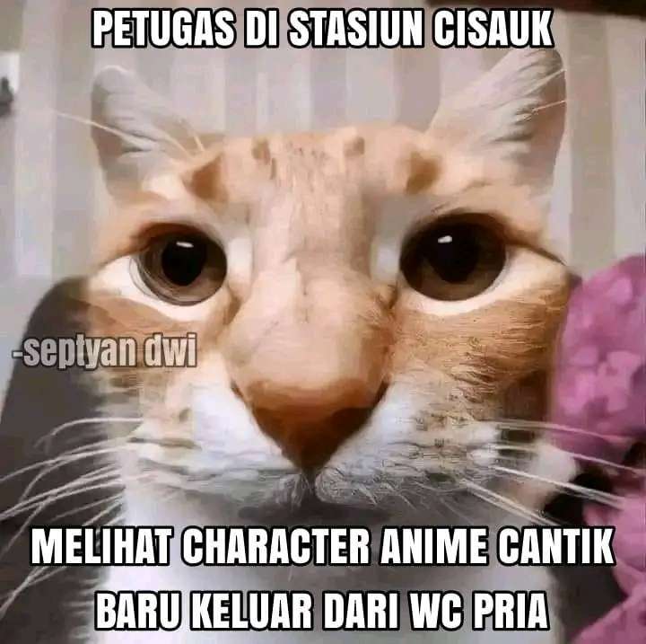 Petrol Weeb | F tweet media
