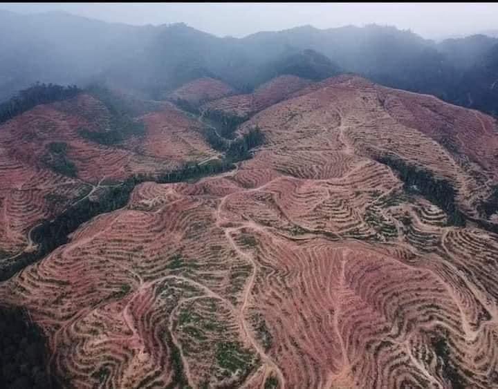 Dr MasIinda Si Derhaka 🇲🇾 tweet media