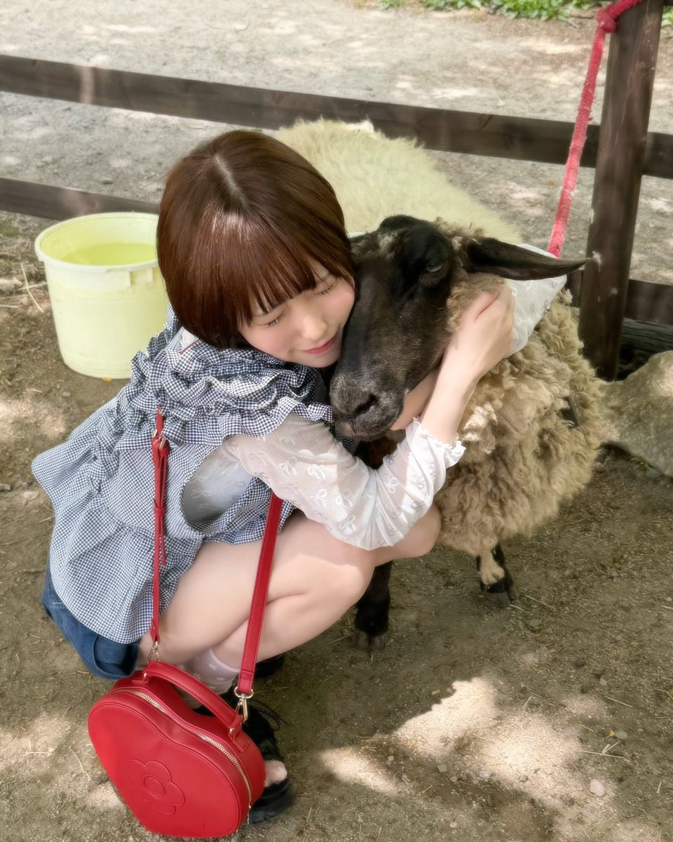 dad_coco__'s tweet photo. りんどう湖ファミリー牧場🐄🌱✨
SHOWROOMのイベントで頂いた無料で行ってきました！

本当に楽しかった(,,> <,,)
羊のヘーゼルとの出会い💕
一緒にお散歩楽しかったなぁ˖ ࣪⊹
素敵なところでした✨幸せꯁꯧ
ずっとここに居たい（т-т）˖ ࣪⊹
みんなありがとう💖 https://t.co/0y21pDpR0O
