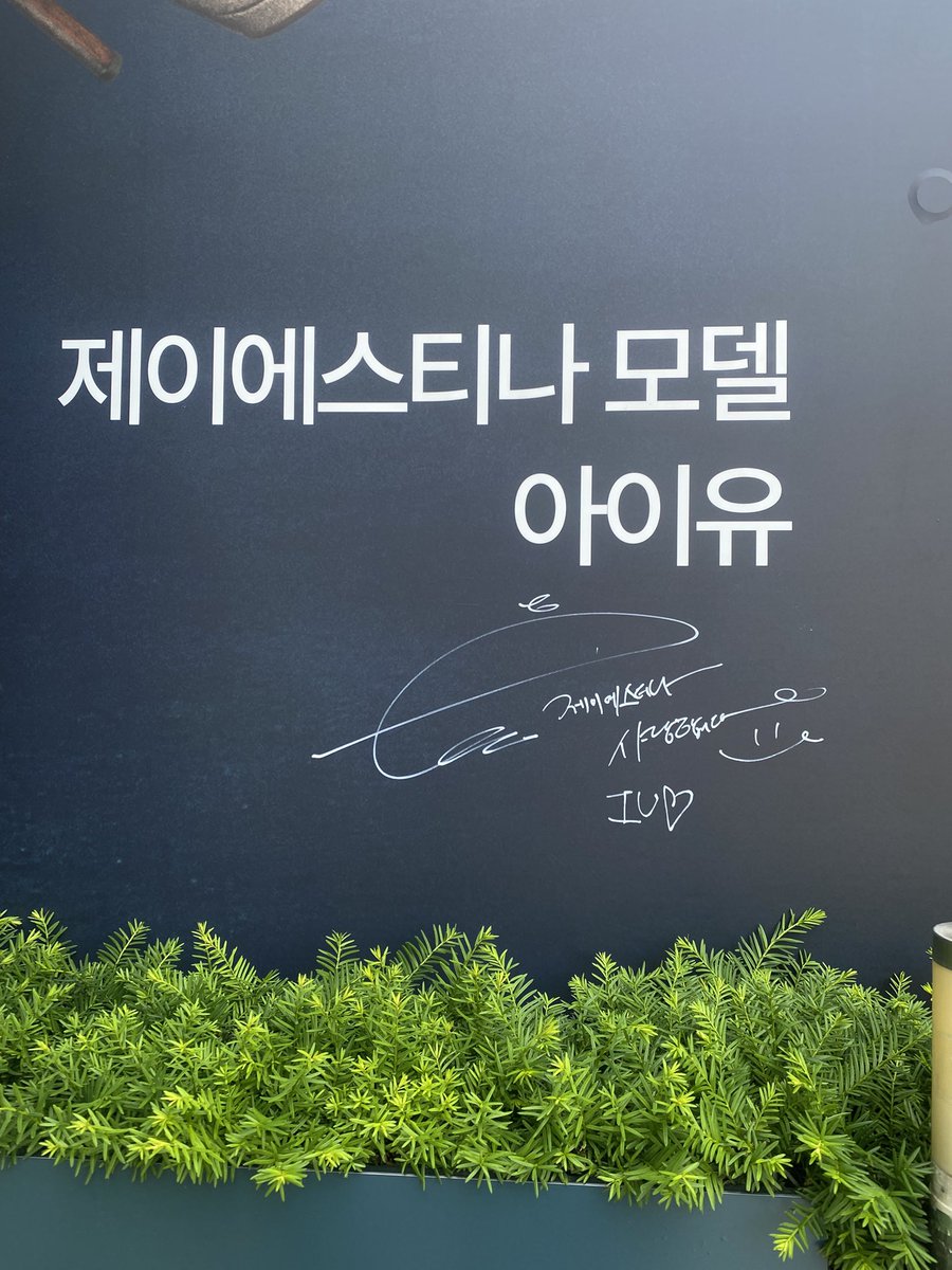 iu42love's tweet photo. 언니 천국이라 좋았다🥰 https://t.co/aC1ithYeo0