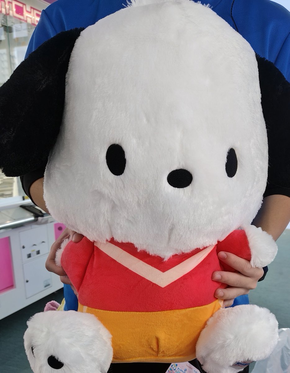 景品入荷情報】 本日「ポチャッコ キャラクター大賞2026超超BIG