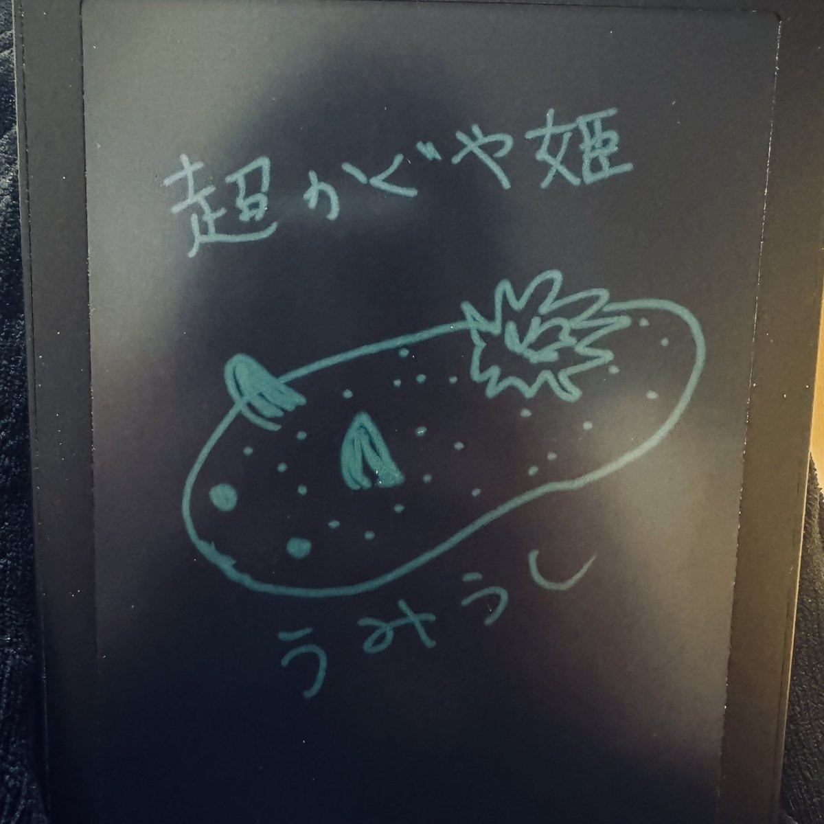 NSOKNK's tweet photo. おもちゃタブレットらくがき https://t.co/ImxmLjbo6b