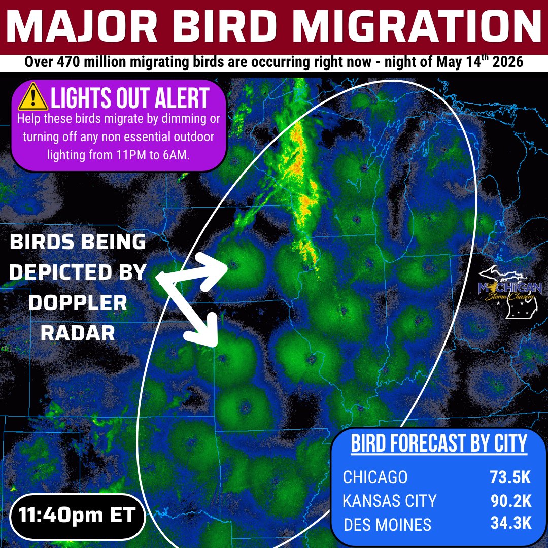 Michigan Storm Chasers tweet media