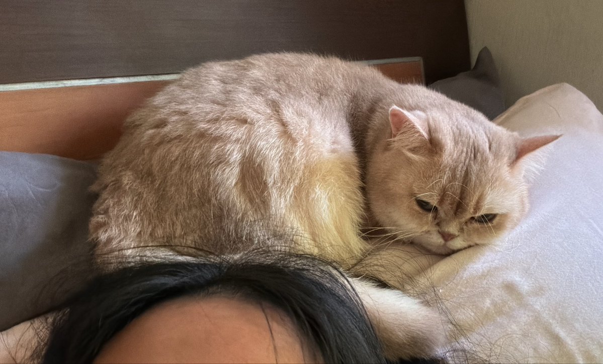 Nastar & Kara tweet media