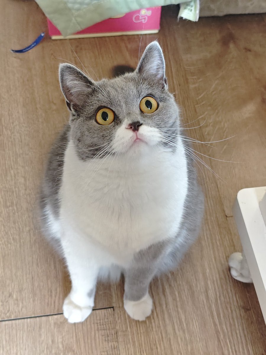 NannanSissy's tweet photo. 约过我的zn朋友
这里站个队！ https://t.co/woOlwOdOFz