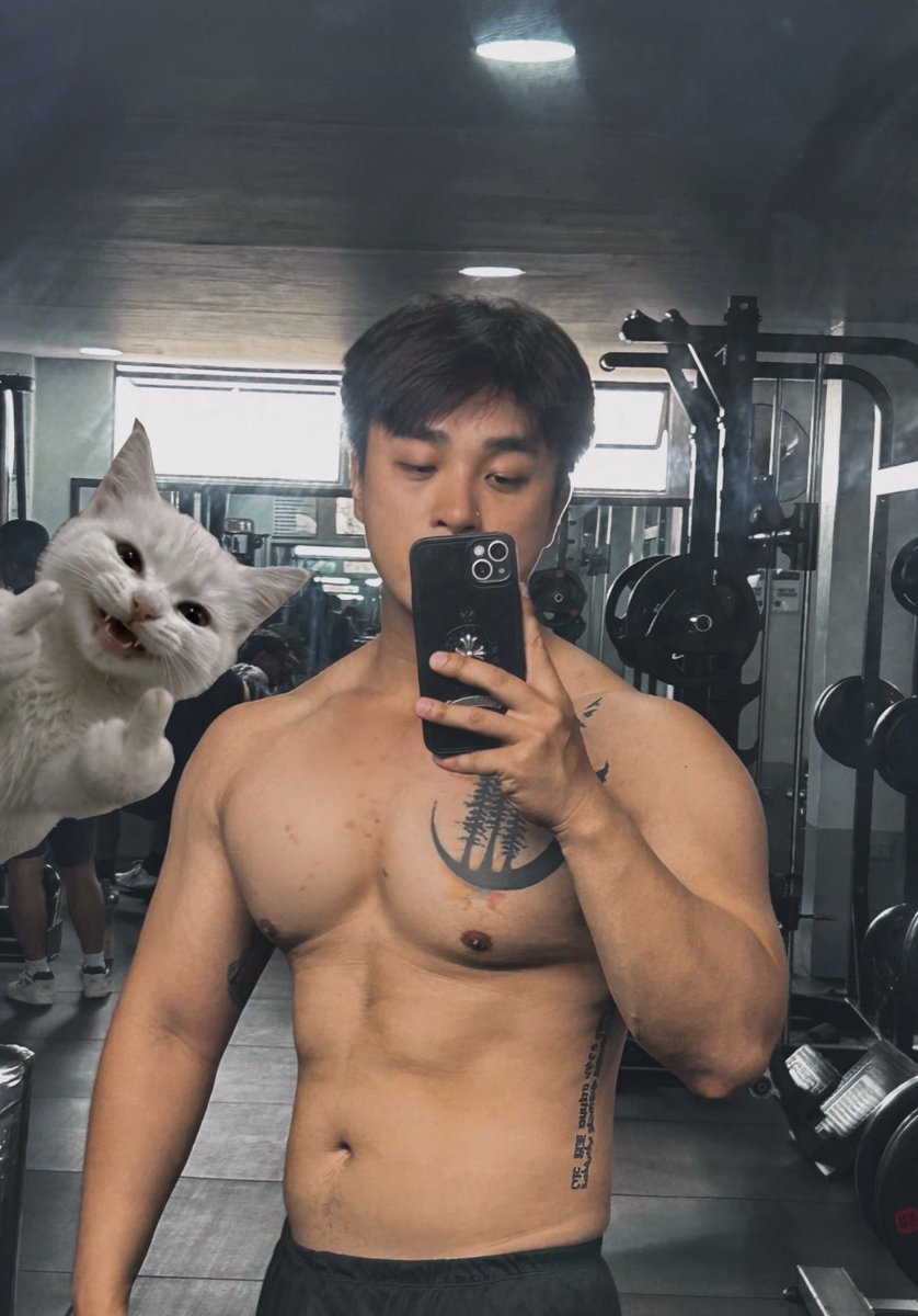 Stephen Zheng (@stephenVzheng) / Posts / X