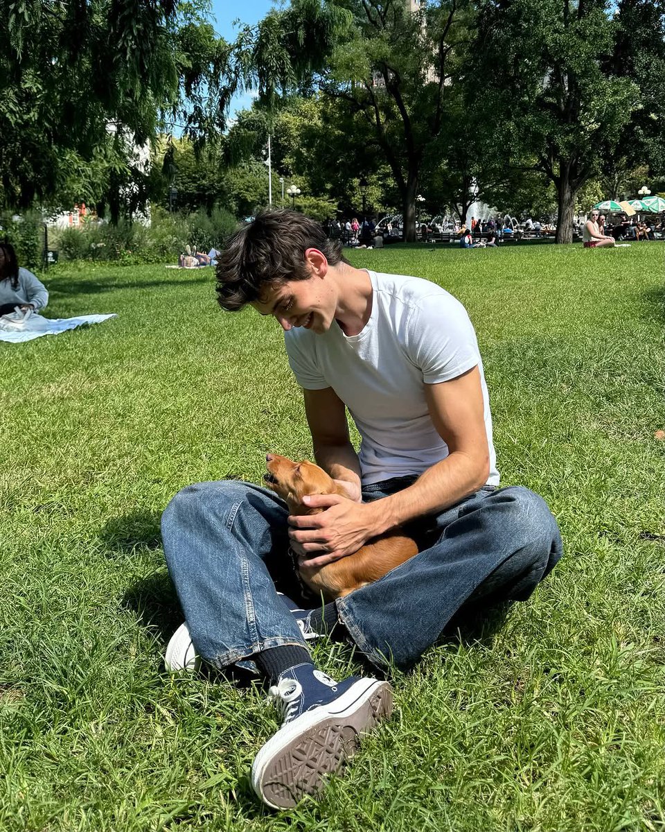 Nate tweet media