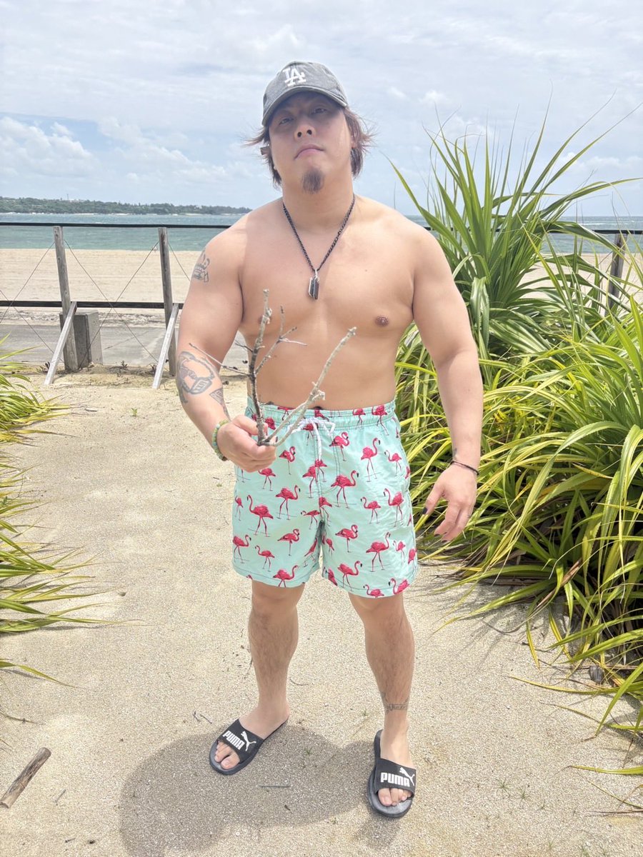dragongate_pro's tweet photo. 📢#DRAGONGATE 
水着コンテスト🩲🩳🏖️
間もなく投票開始！✨

#我蛇髑髏
#箕浦康太
#ジェイソンリー

あなたが選ぶ「水着が似合うNo.1選手🏆」を以下のフォームよりご投票ください📩

🕒受付時間=本日13:00～16:00
👇
https://t.co/PaPvu2JX6C
※どなたでも投票いただけます！

#ローソントラベル https://t.co/yVKDrAAMlX