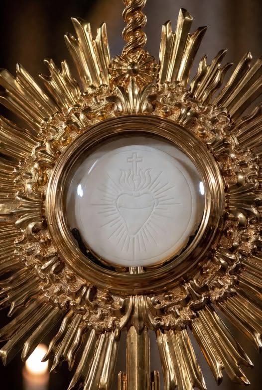 JustAdaugoijele's tweet photo. Is not our Lord as meek and humble in the Blessed Sacrament as He was during His life on earth?
Is He not always the Good Shepherd,
the Divine Consoler,
the Changeless Friend?
Happy the soul that knows how to find Jesus in the Holy Eucharist, and in the Eucharist, all things!! https://t.co/dC6ZMa3kR1