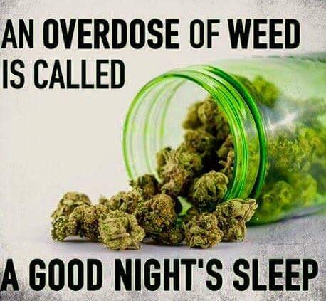 Stoner Jesus™ tweet media