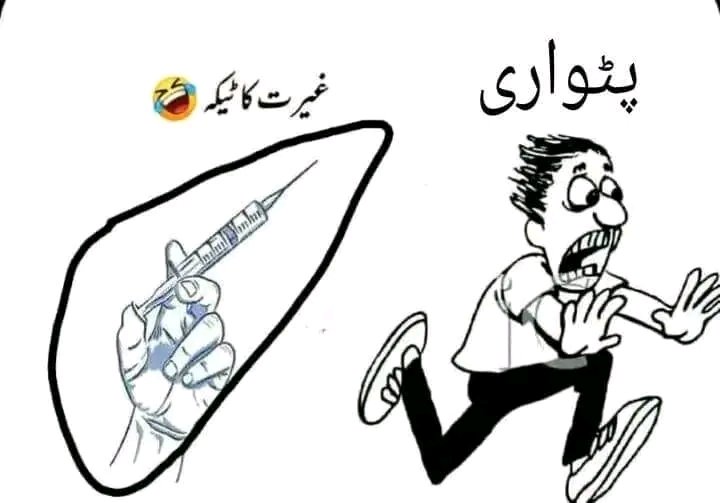 شاہ زاد tweet media
