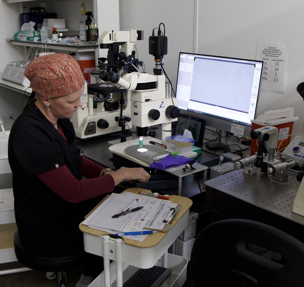 CarlEquineIVF's tweet photo. At @EquineIvf , precision matters at every stage of the reproductive process — including the warming of vitrified embryos prior to transfer.

Proper timing, temperature control, and handling protocols are critical in supporting embryo integrity and successful transfer outcomes. https://t.co/Y7EOihKP8r