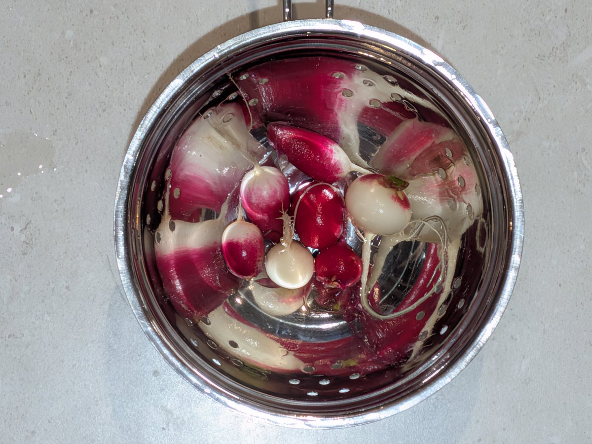 Lookandwait's tweet photo. Picked some radish today from my garden https://t.co/rJVEz7TfBi