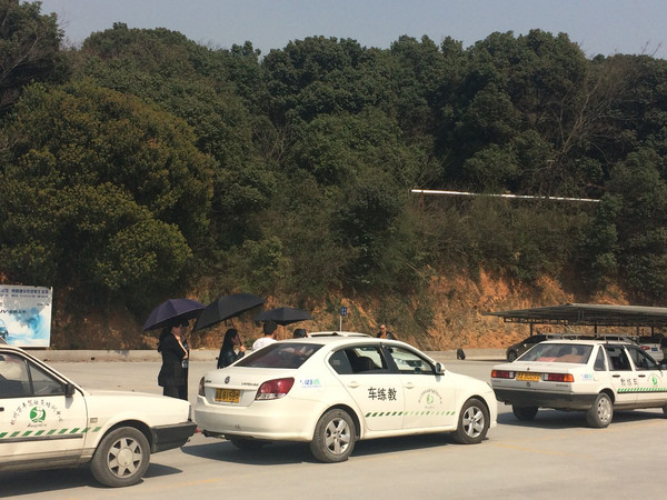 Wioletta Ledwon tweet media