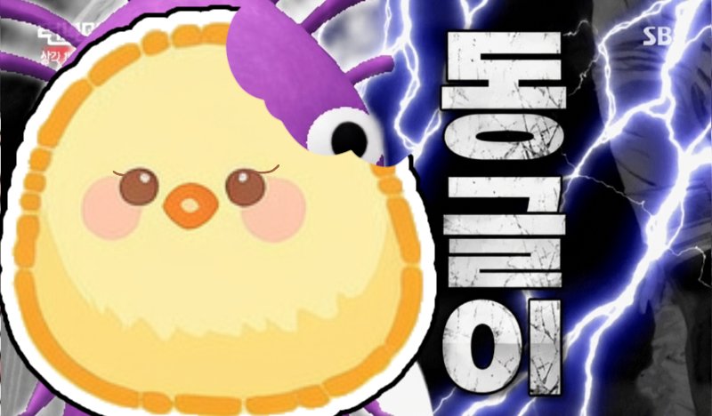 코마상태 tweet media