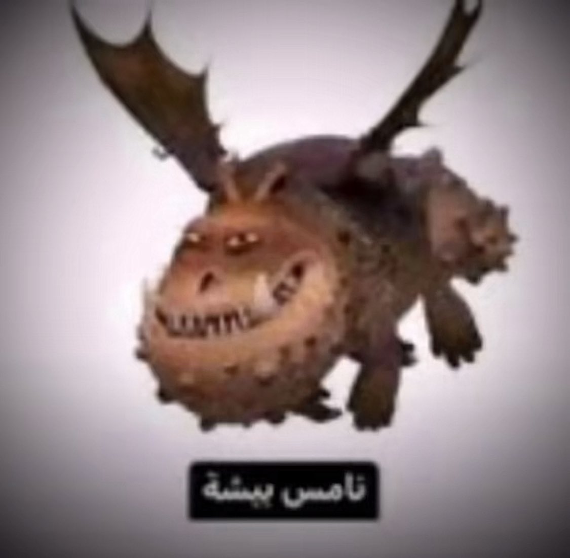 البرازيلي🇧🇷 tweet media