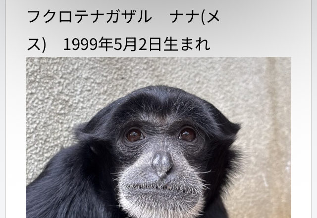 桃白白でか美(旧ゴシップ太郎) tweet media