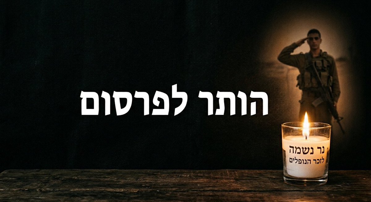 אמיר שפרלינג tweet media