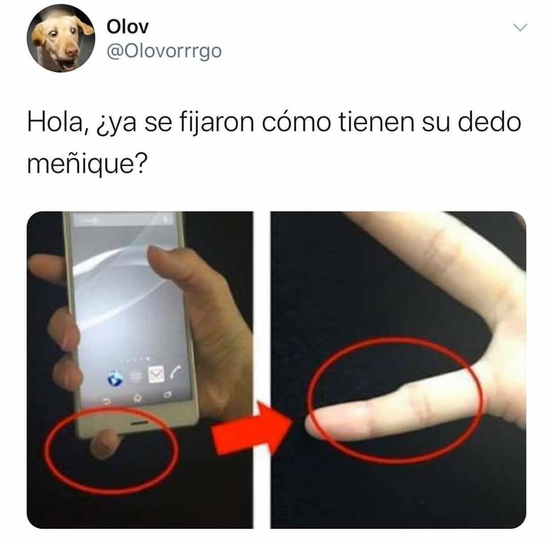 Ruiz Alex tweet media