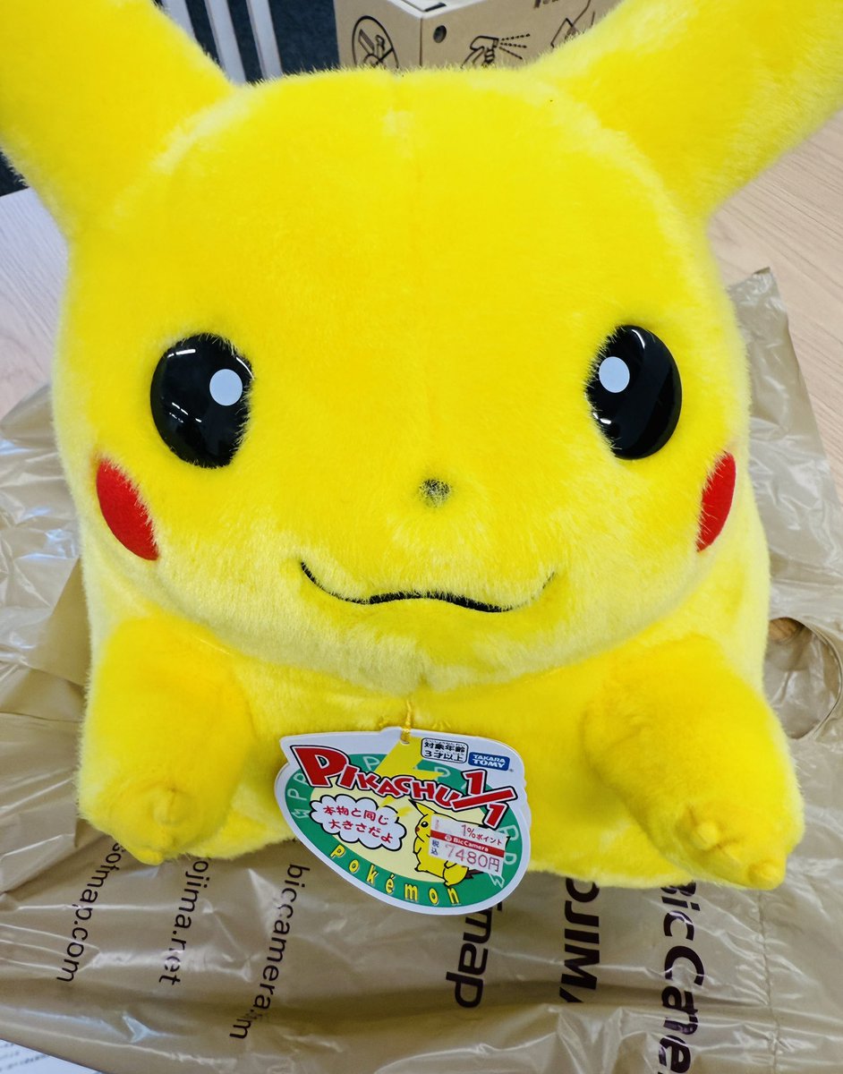 ビックカメラ おかえりピカチュウ販売✨】 🏢各店舗 ✓ポケモン30周年