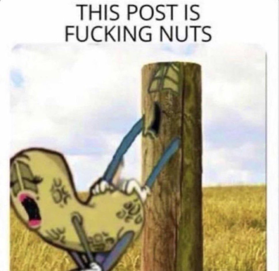 Michael?? tweet media