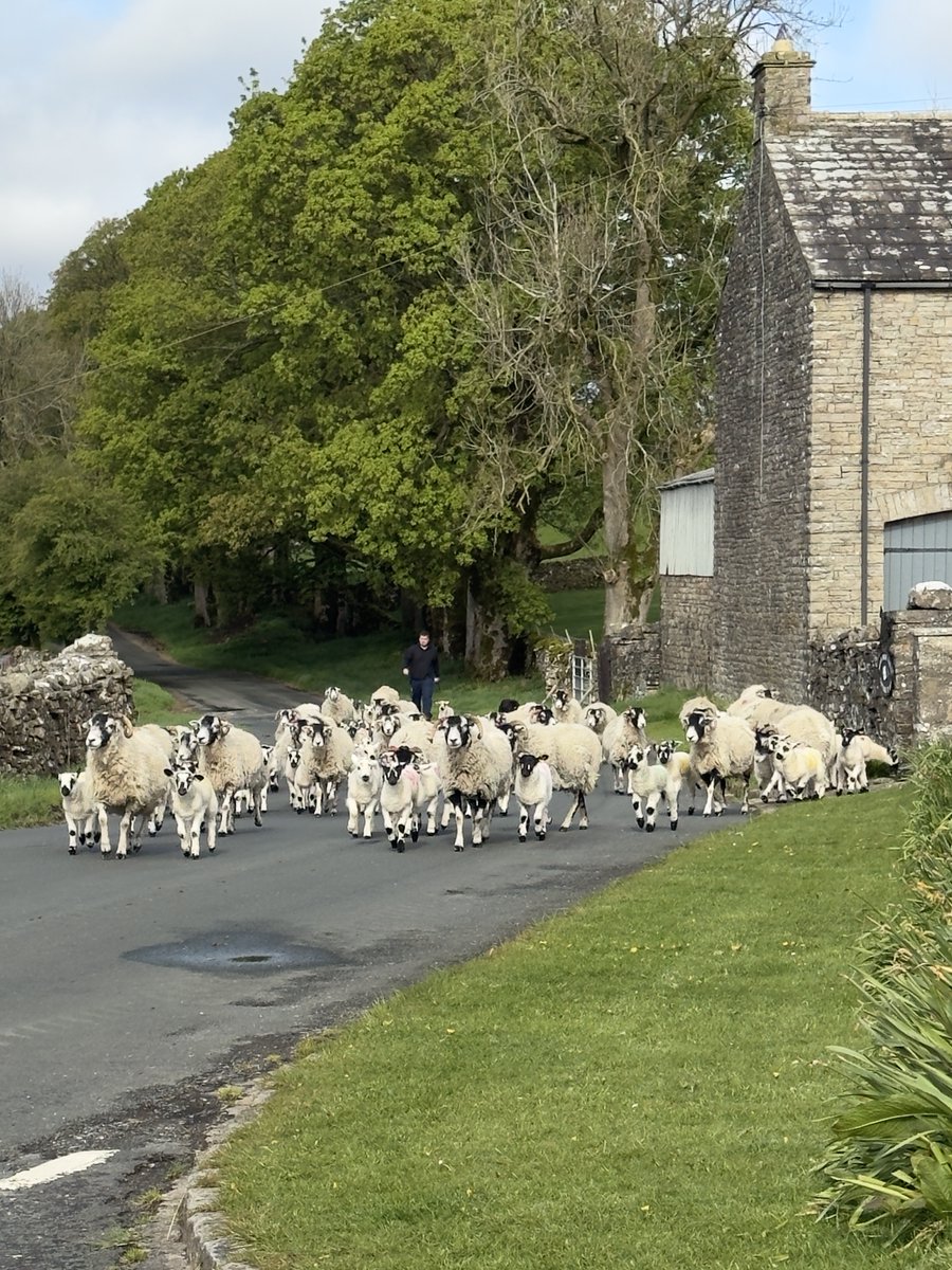 yorkshire_dales's tweet photo. If you're in the National Park this weekend, please:
๐ฅ No Fires or BBQs
๐ฎ Take all your litter home
๐โ๐ฆบ Keep dogs on a lead to protect you, livestock, and ground-nesting birds
Thank you ๐
#YorkshireDales #Weekend #StepIntoNature https://t.co/JLk3ApPb77