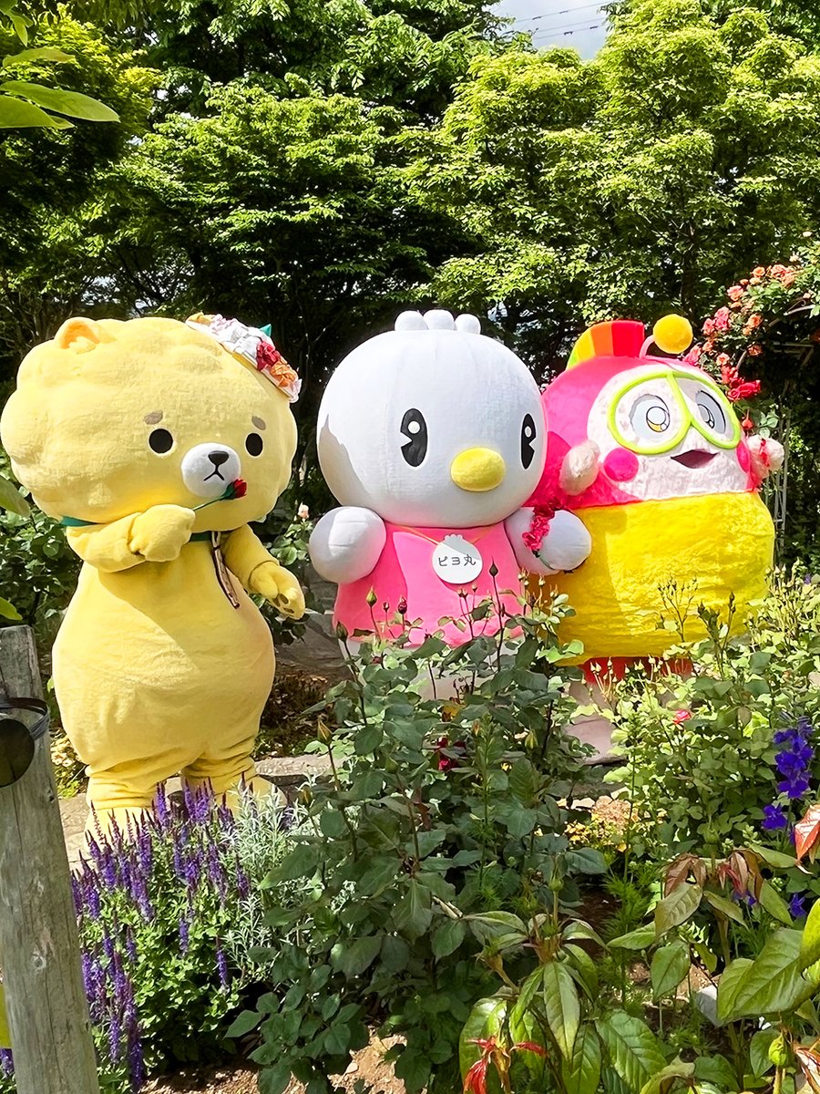 ピヨ丸【東洋羽毛公式キャラクター】 (@TUK_piyomaru) / Posts / X