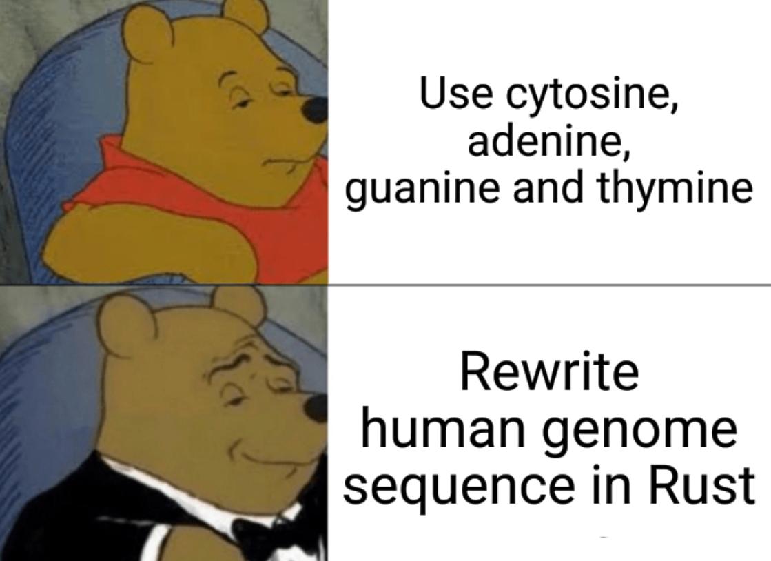 Programmer Humor tweet media