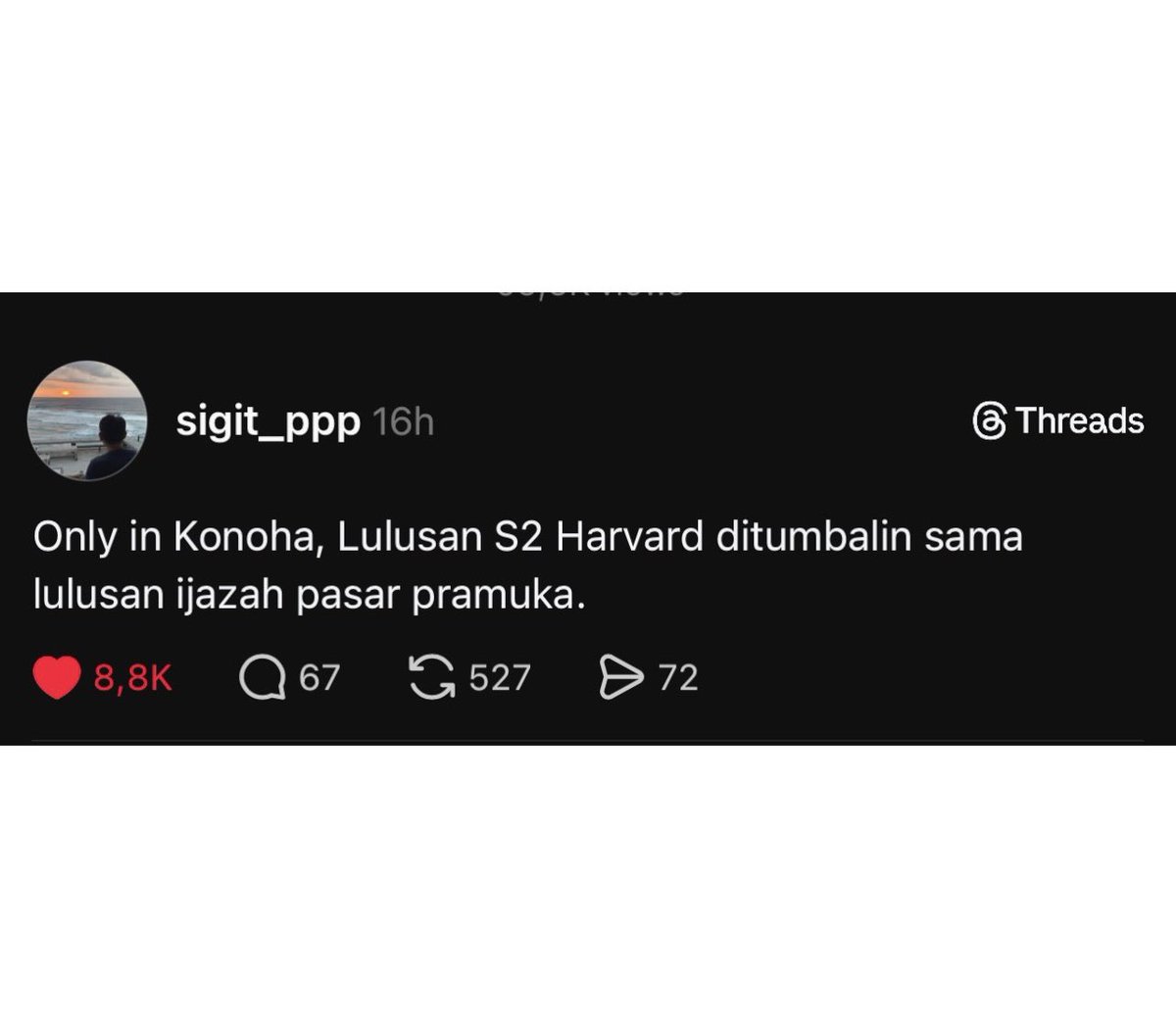narkosun tweet media