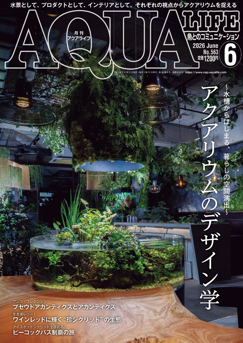 アクアマガジン　　37冊