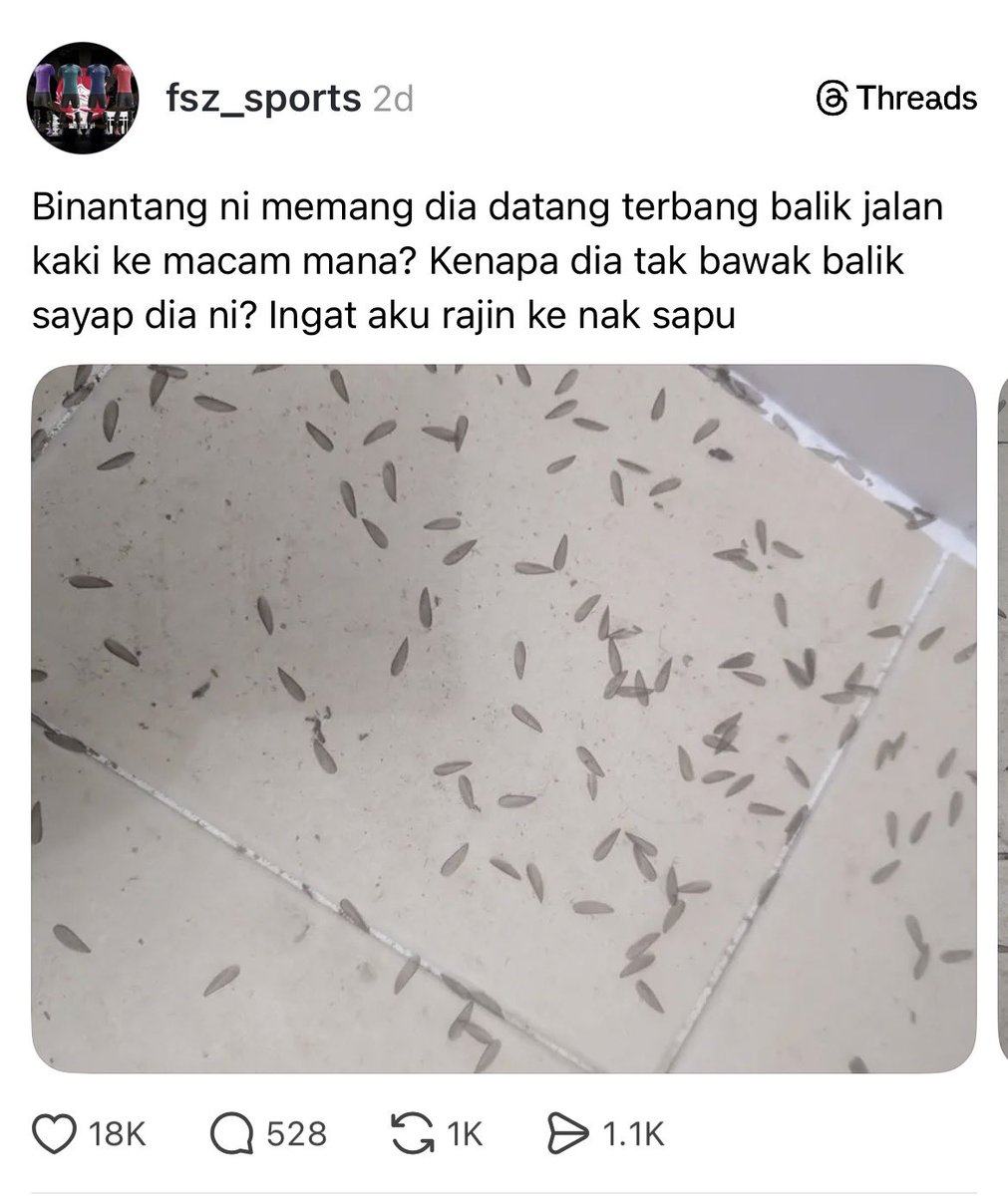 twitmarhaen's tweet photo. Yang duduk kampung selalu faham perasaan pijak benda ni malam-malam 😭 https://t.co/OjMMMIeAVx