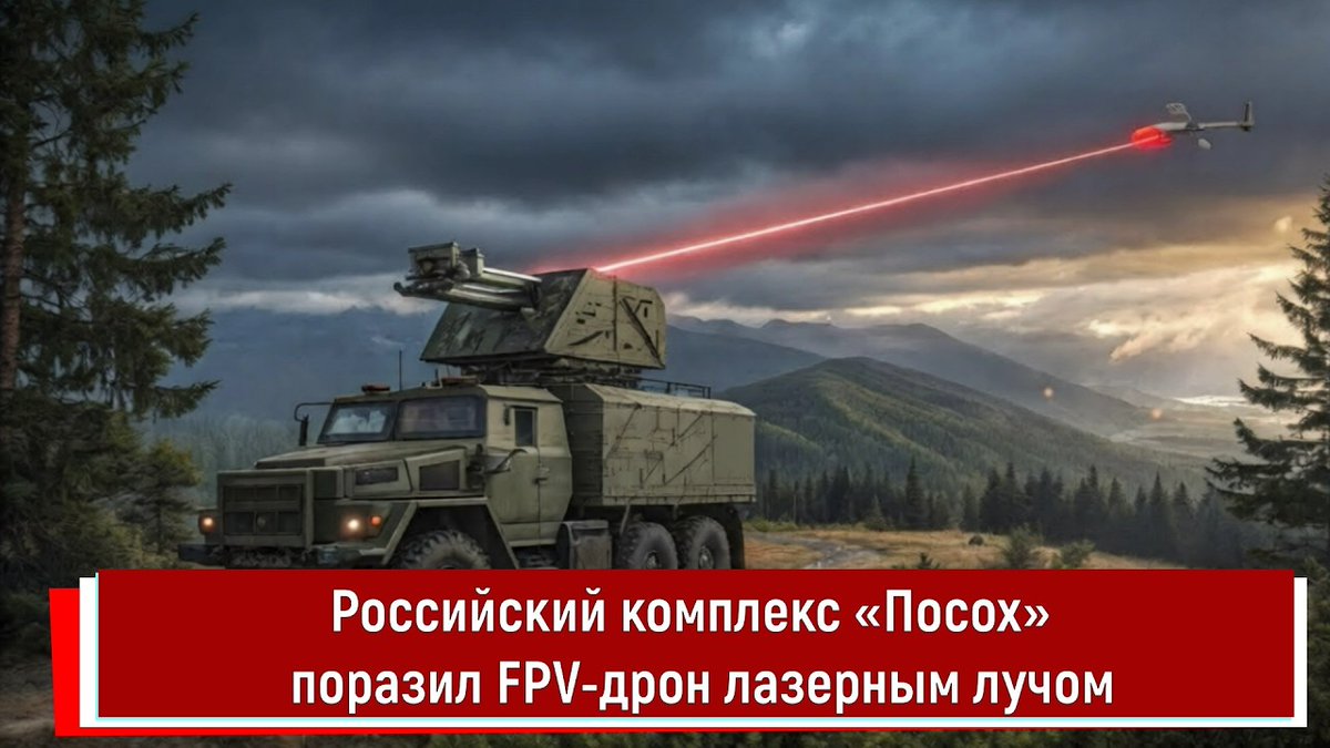 Леди Айз tweet media