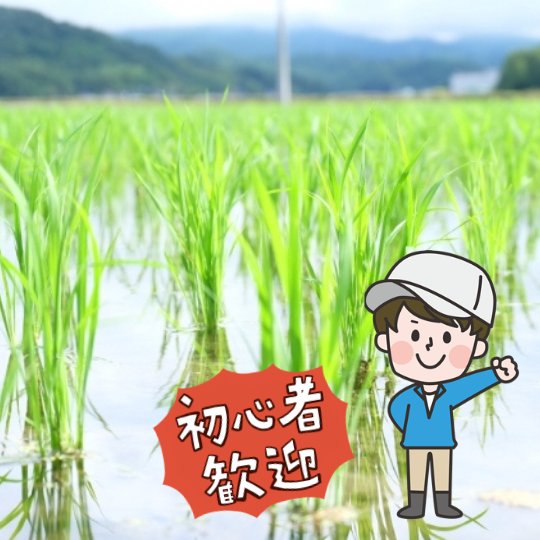 sharejob_entry's tweet photo. 田植え作業の補助をお願いします！
初めての方も丁寧に教えますので、安心してご応募ください！

📍青森県つがる市稲垣町
📅5/16(土)～5/31(日)
⏰ 8:00～17:00(休憩2時間)
💰9100円

👇応募方法👇
プロフィールのリンクからシェアジョブに登録！
登録はすぐにできます！
登録後に希望のお仕事に応募！
#農業　＃農作業　＃田植え　＃青森　＃つがる市　＃アルバイト