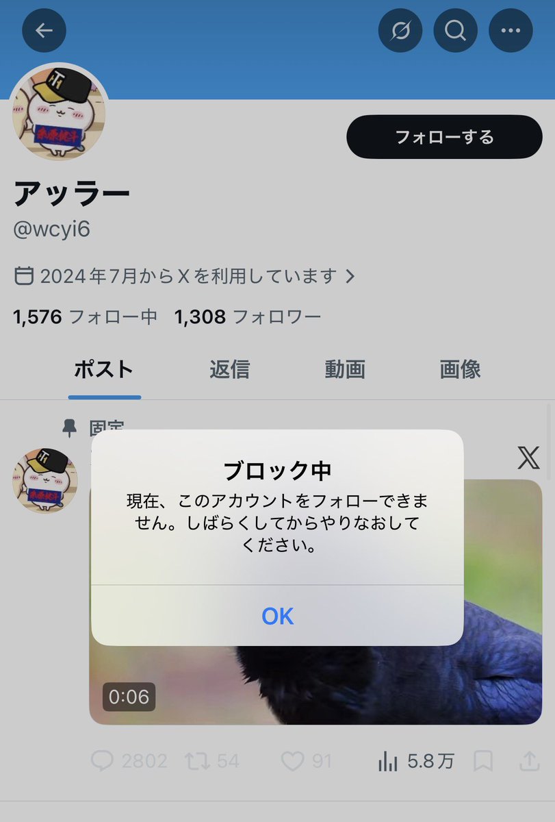 パツトン応援アカウントの応援アカウント tweet media