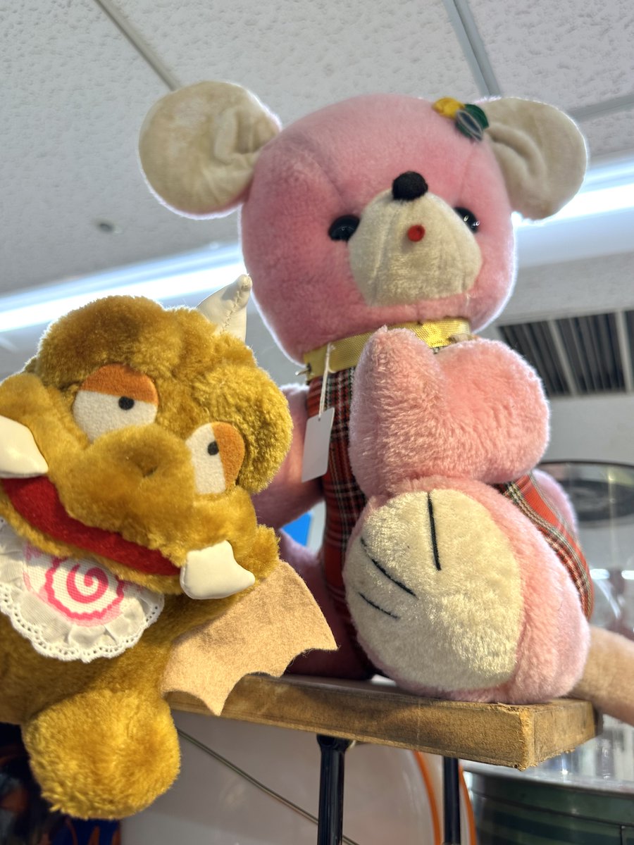 ぺぎ坊 tweet media