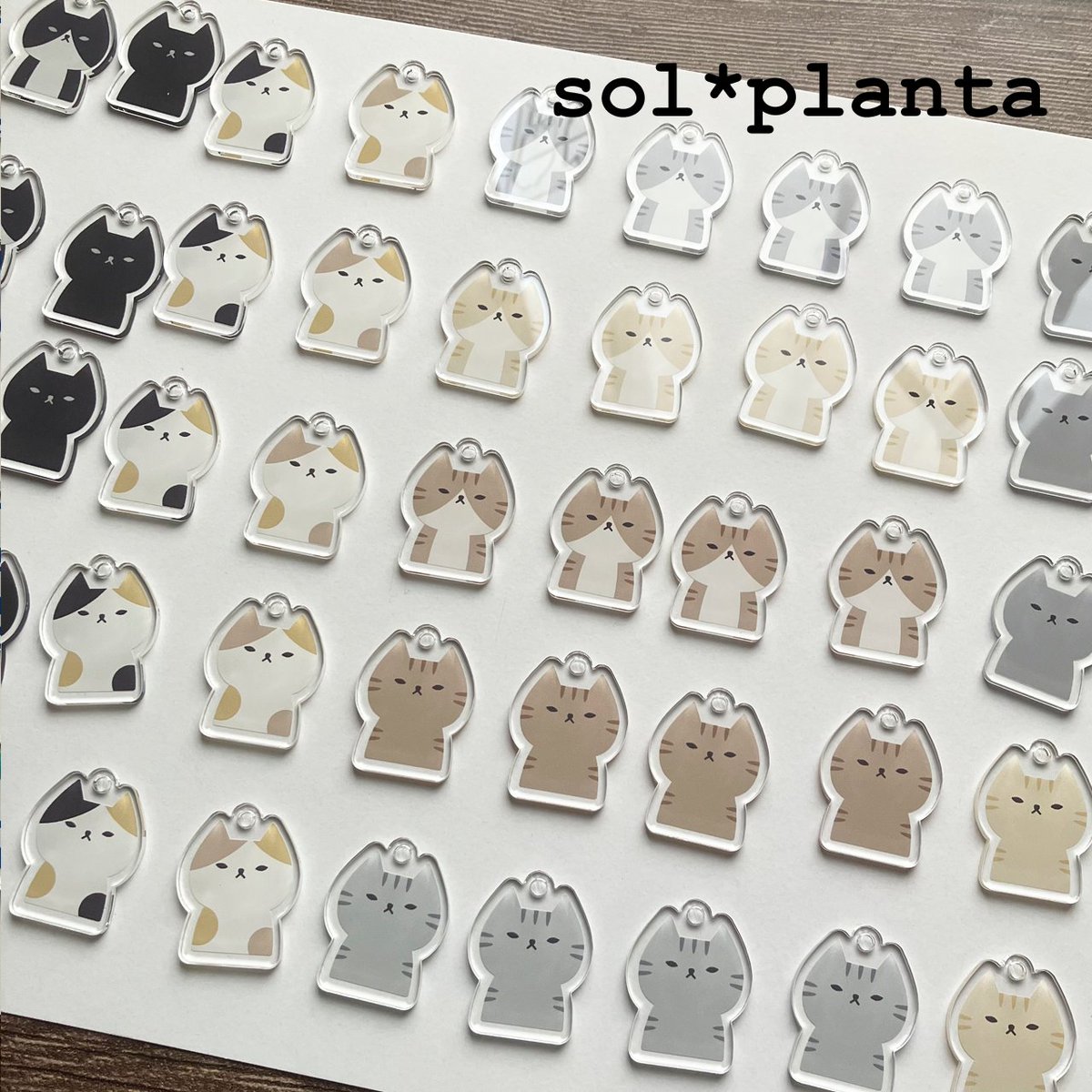 sol_planta's tweet photo. 猫食同源(壱)用に注文してたアクリルのパーツが到着！
イイ感じに仕上がって嬉しいから、皆様にも是非見て頂きたいっ！ https://t.co/9xyL81WYqO