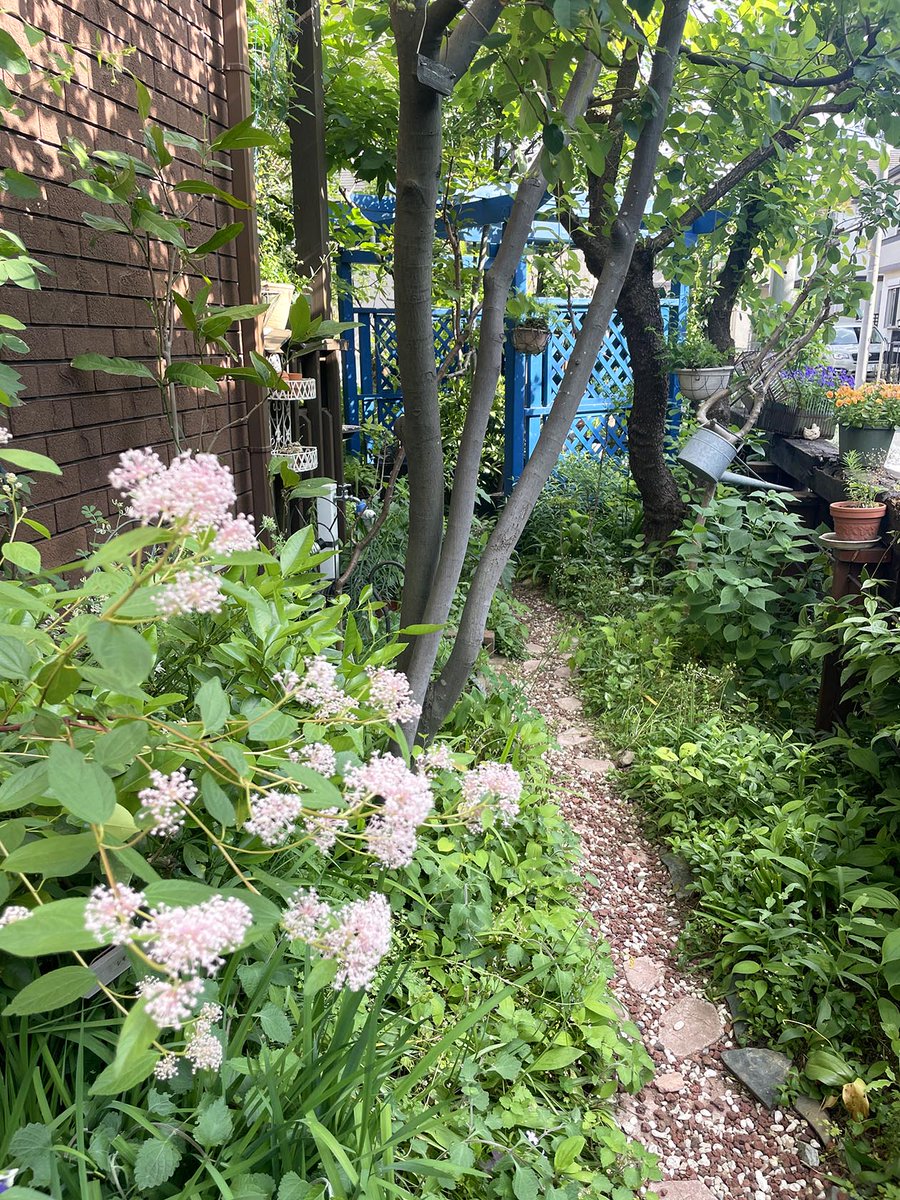 nerimachi's tweet photo. 【景観担当のつぶやき🐾（大泉学園町）】
この地域で住宅地が開発されたのは約100年前。みどり豊かな住環境を守るため、昭和８年に風致地区に指定されました。地域の有志で行われる”ちゃい旅”は「家と庭」がつくるみどりを楽しみながら、皆でまちを感じ、考え、共有する場になっています。
#景観 https://t.co/eJr8Pn5GyW