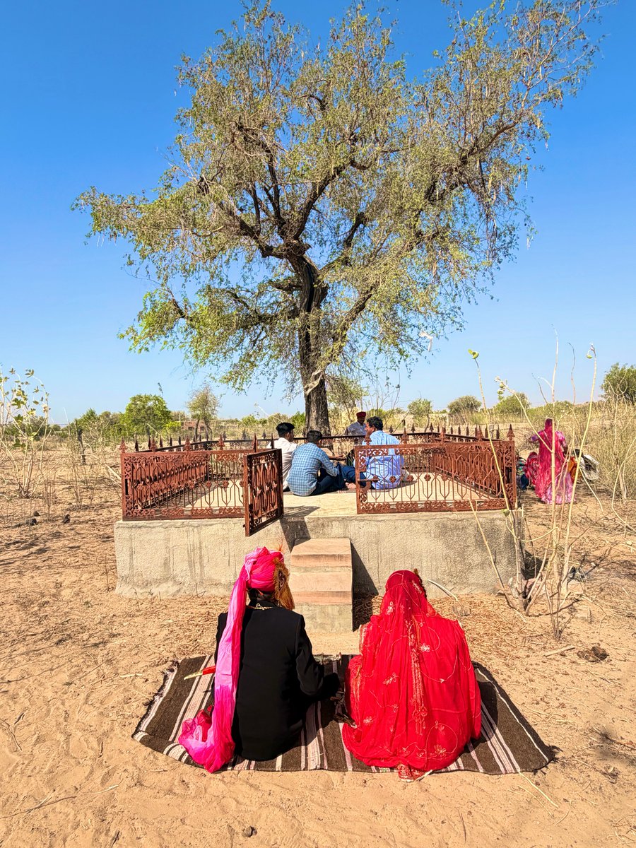 मरू री मरवण🏜️ tweet media