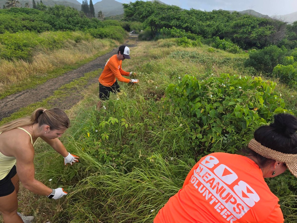 808cleanups tweet media