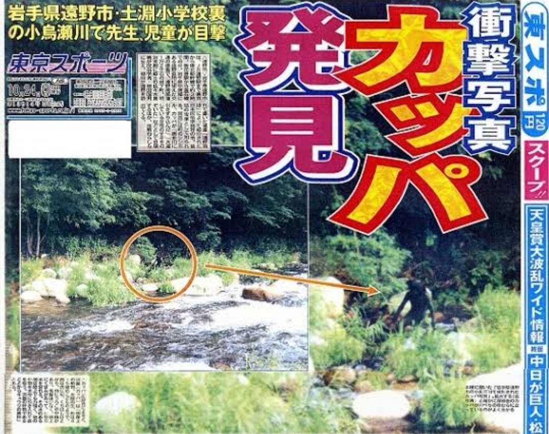 くぼ tweet media