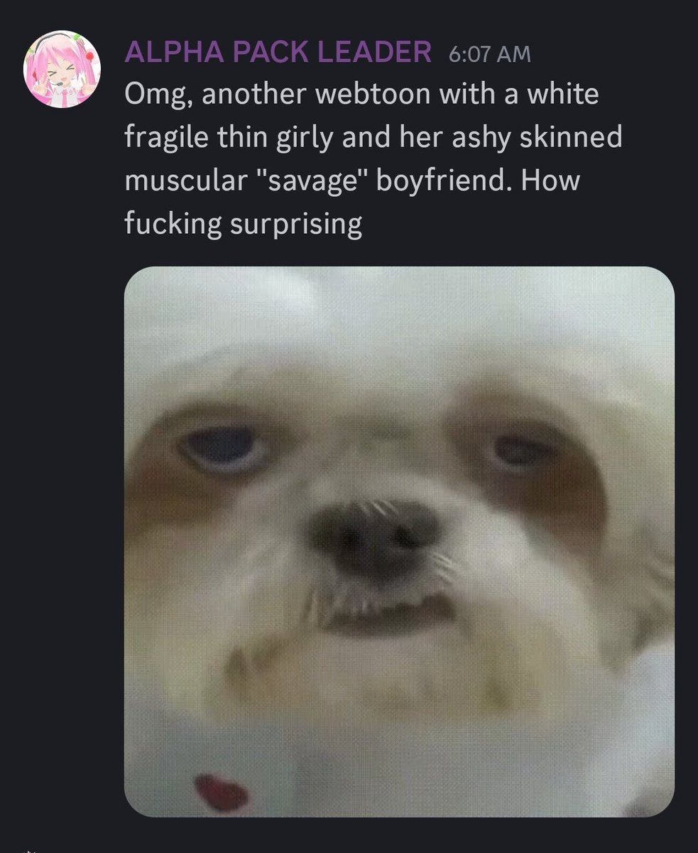 Pigeon 🏳️‍⚧️🪽 | Emotional support white boy tweet media