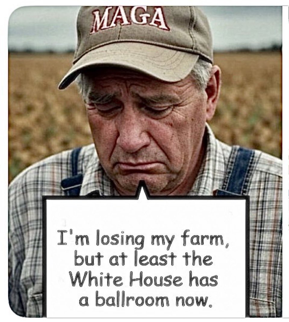 Peter K. tweet media