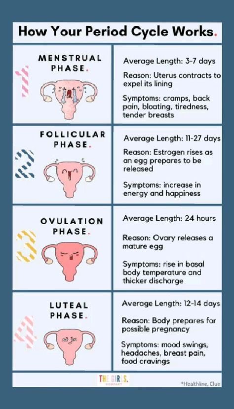 Medical knowledge tweet media