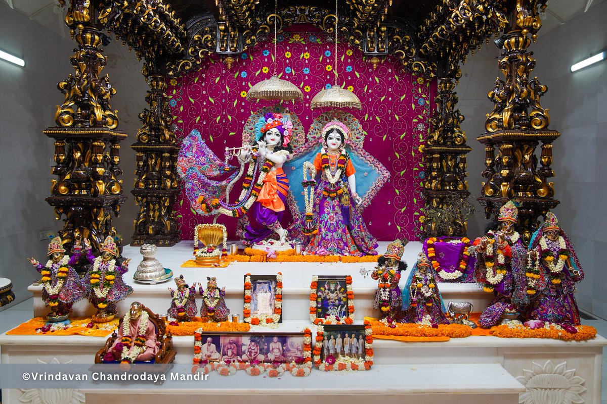 Vrindavan Chandrodaya Mandir tweet media