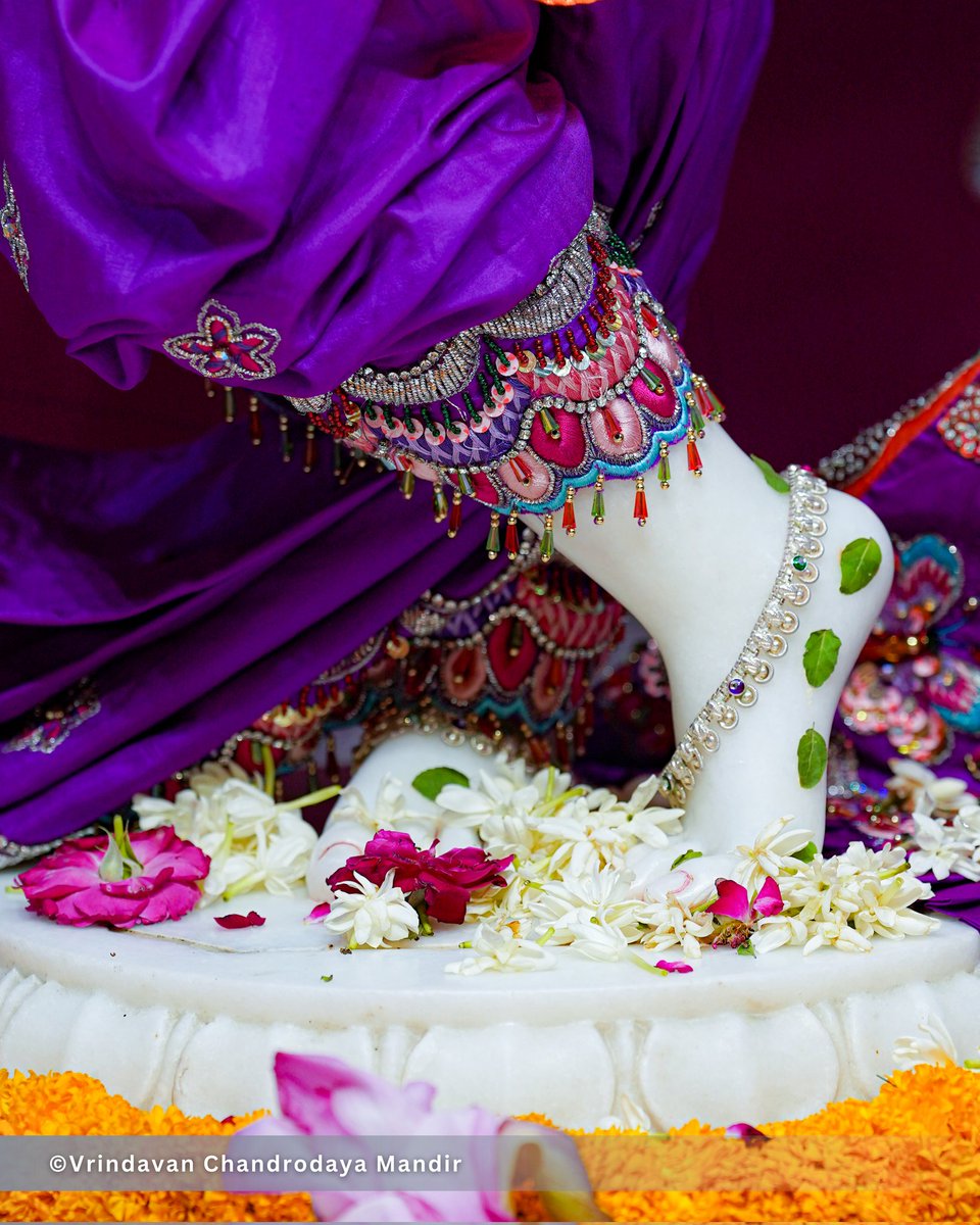 Vrindavan Chandrodaya Mandir tweet media