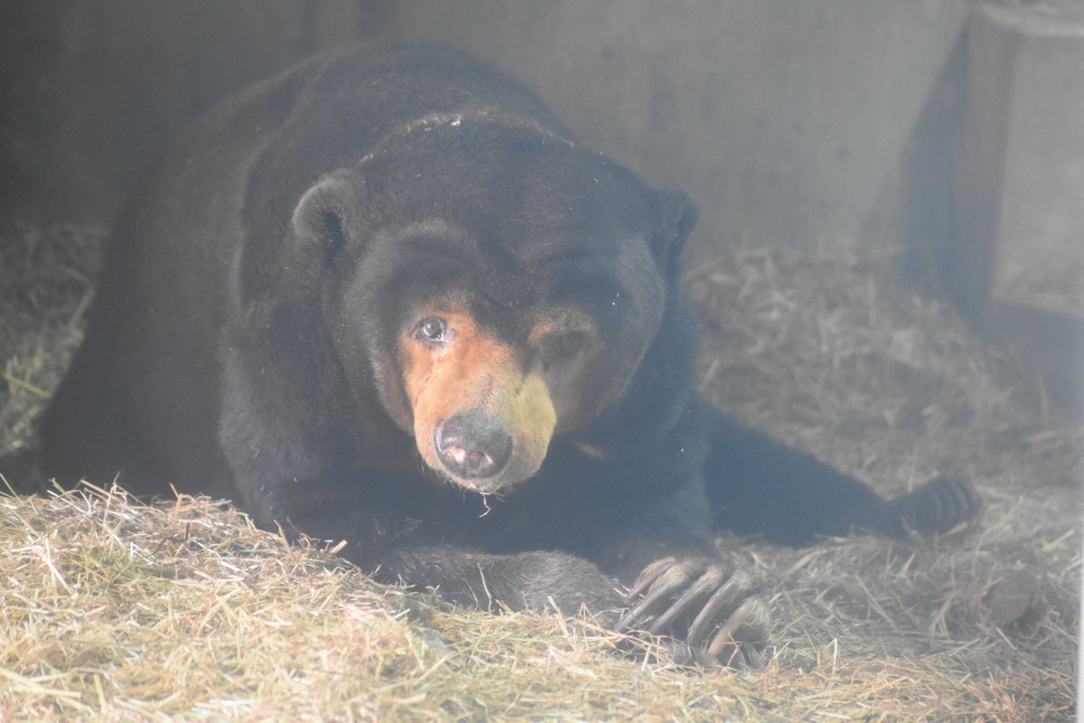 名古屋市東山動植物園 tweet media