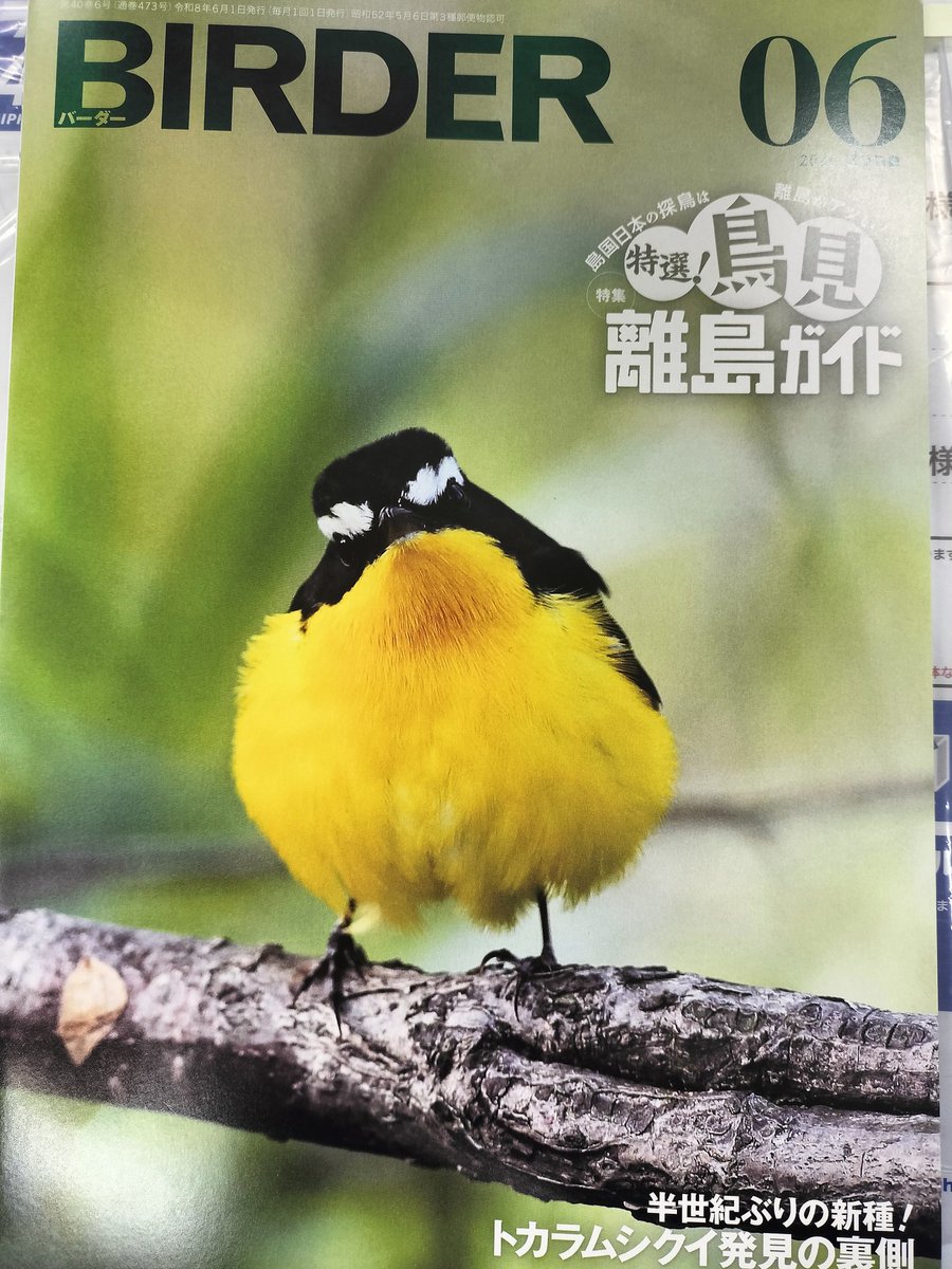 定期船とびしま tweet media